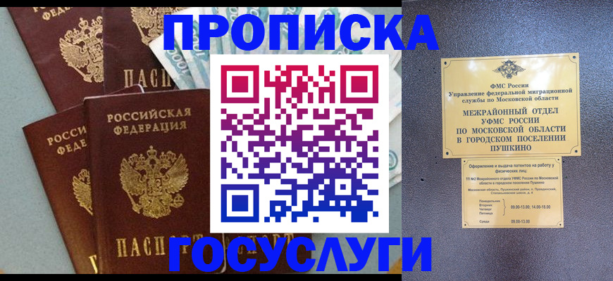 прописка гарантия в Луге